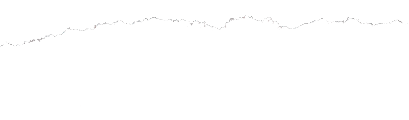 a close up of a tree