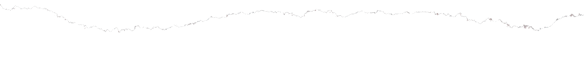 a close up of a tree